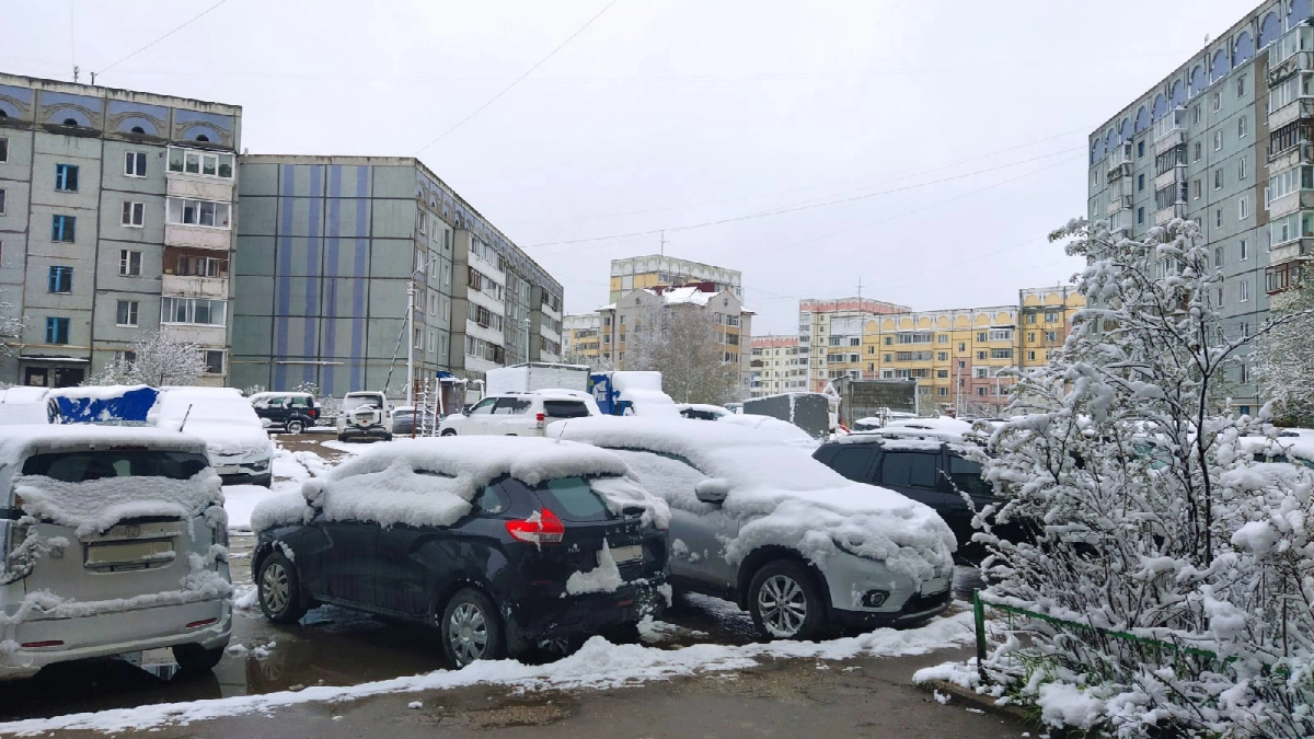 Тепло, дождь, а затем снова снег и заморозки: холодный удар ждет Центральную Россию в конце апреля