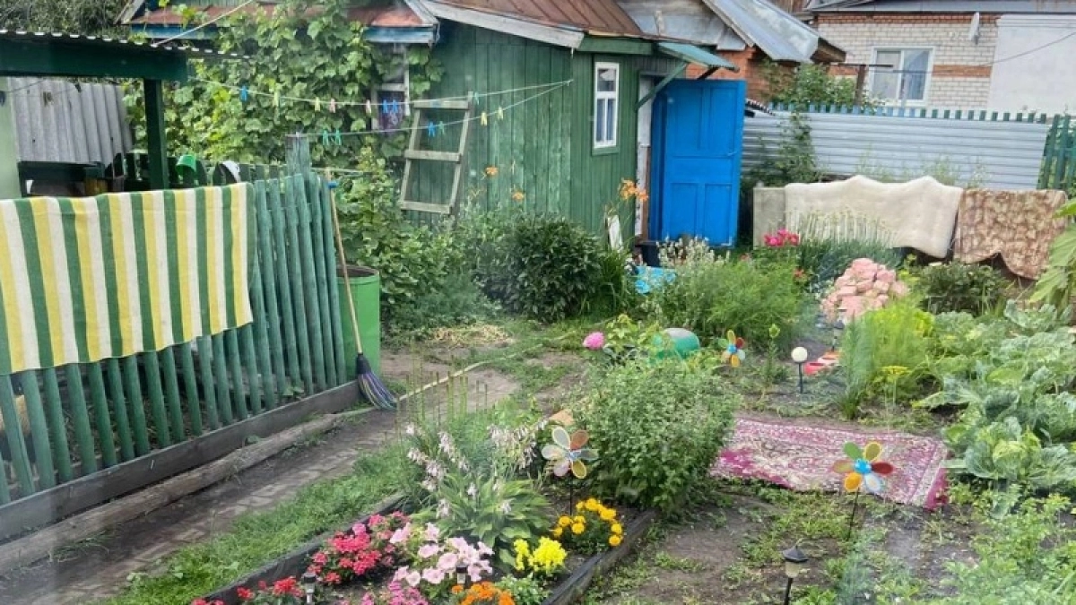 Смородина обожает эту подкормку: 1 стакан после таяния снега — и куст ломится от сладких ягод размером с черешню