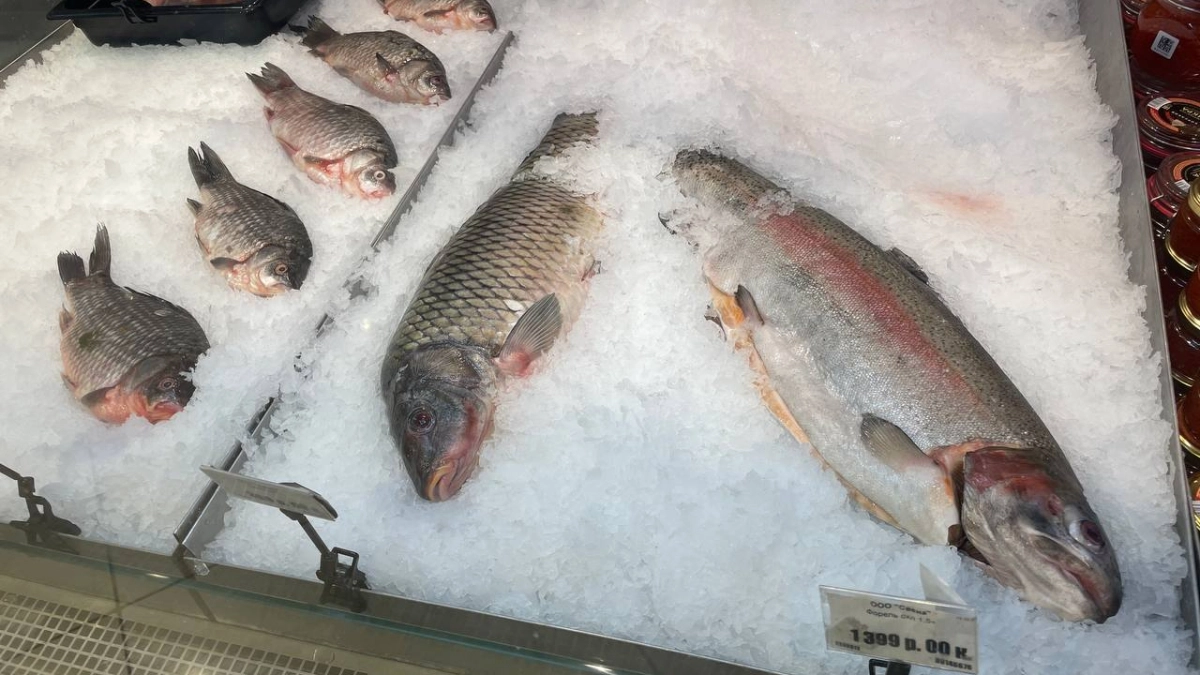 Названа самая полезная для человека рыба — употребляйте ее дважды в неделю. Богата селеном, фосфором и хороша