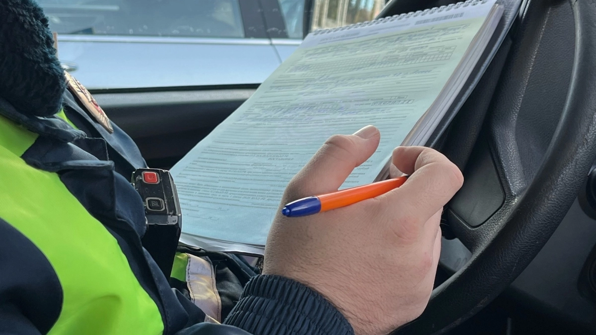 Гаишники будут дежурить в каждом лесу: эти 3 вещи нельзя возить на майские 2026