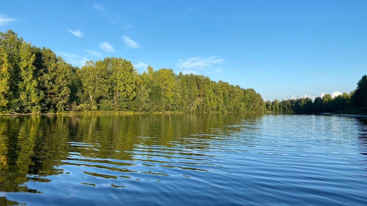 В Воронежской области капитально отремонтируют плотину Шанинского пруда за 20 миллионов рублей