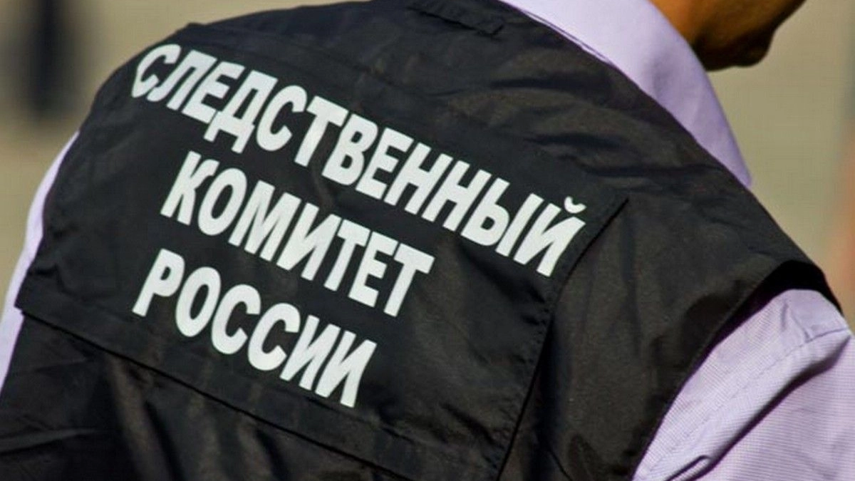 В Воронежской области обрушение балкона с котом привело к возбуждению уголовного дела по требованию Бастрыкина