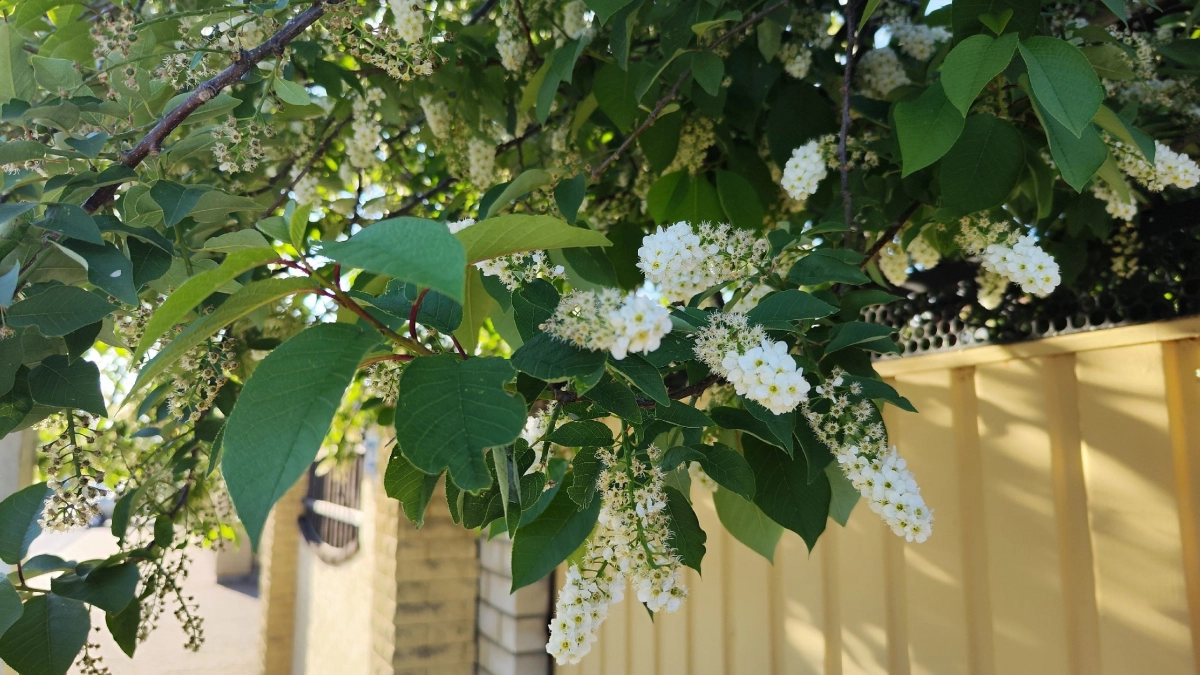 Такого мая не было 40 лет: Вильфанд рассказал о погодном сюрпризе