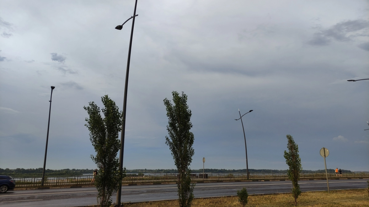 В Воронежской области 23 апреля ожидается предштормовой ветер с порывами до 20 метров в секунду и дожди