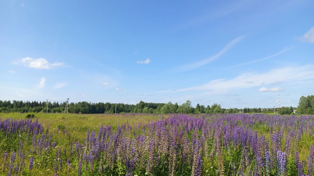 В Воронежской области ввели восьмимесячный карантин по бруцеллёзу