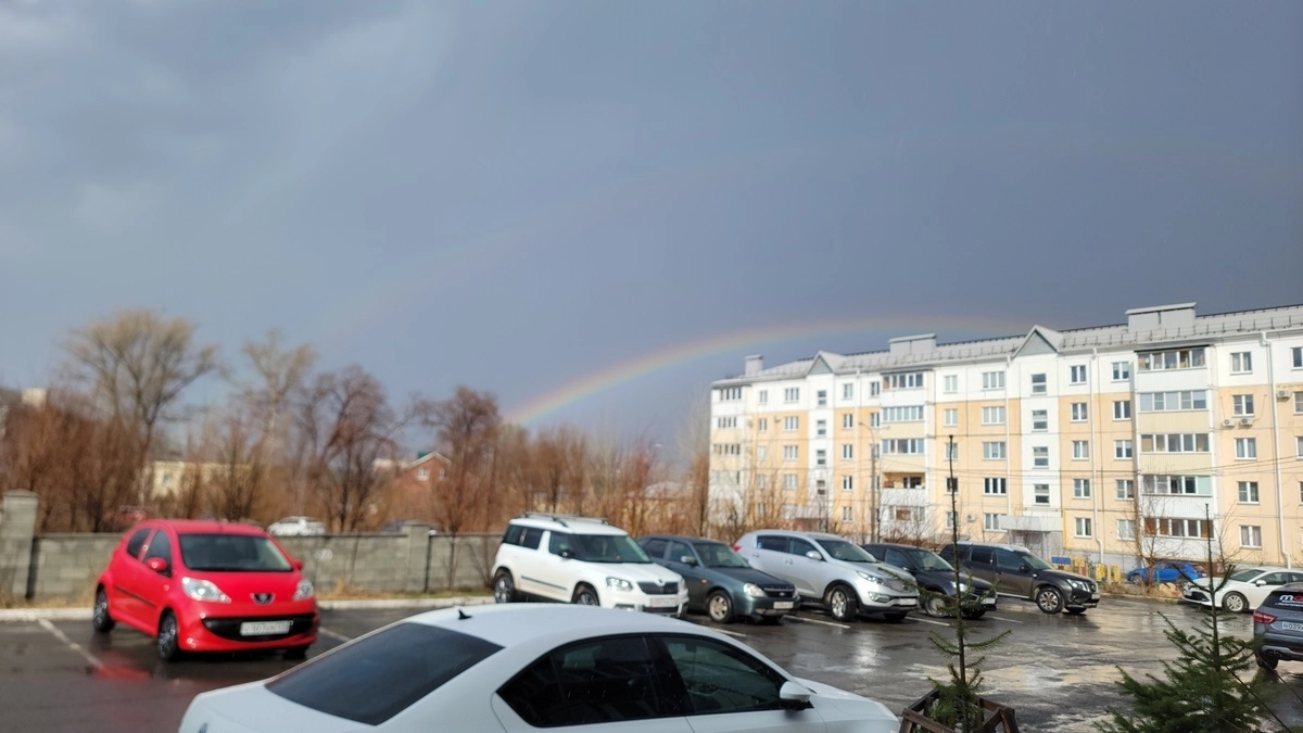 Погода в Воронежской области 25 апреля будет прохладной и ветреной