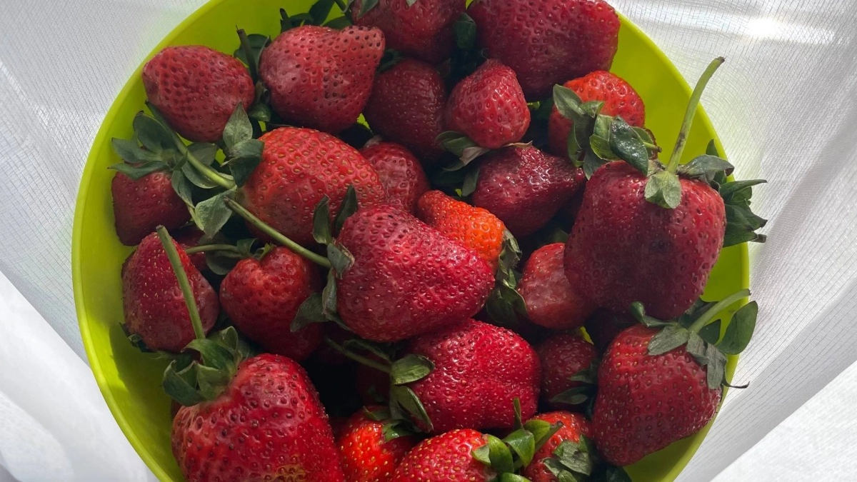 Он не болел 47 лет: 5 продуктов, которые ел 91-летний Томас Кэмбел ежедневно