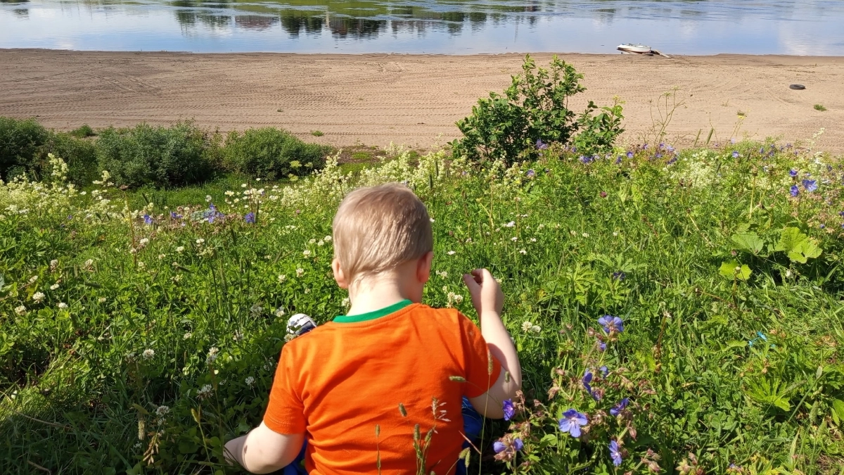 В Воронежской области 52 молодые семьи получили жилищные субсидии