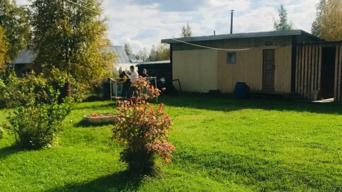 Не нужно выбрасывать старые тарелки и плитку: показываю, какую полезную вещь можно сделать для дачи