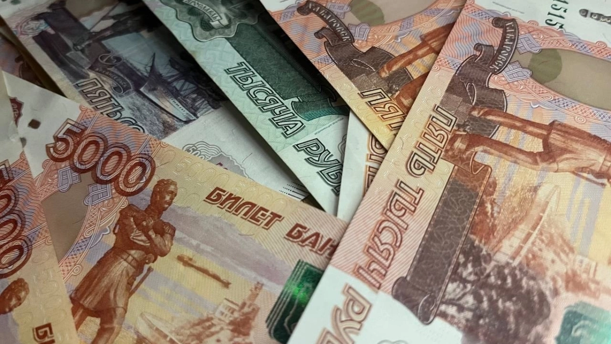 В Воронежской области инвесторам предложили построить комплекс по производству индейки