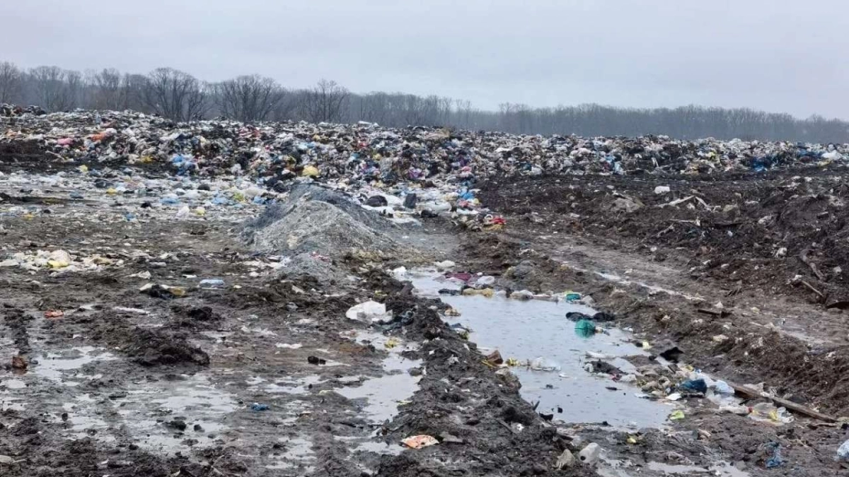 В Воронежской области ущерб от незаконного полигона превысил 11,5 миллиона рублей