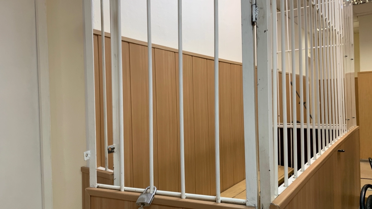 В Воронежской области основатель СМИ отправится в колонию на 3,5 года за хищение 90 миллионов рублей