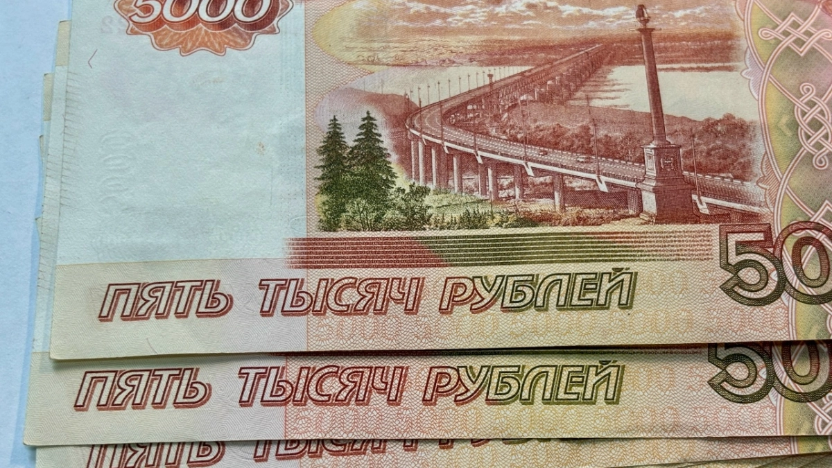 В Воронежской области задержали девушку, через счета которой проходили похищенные деньги