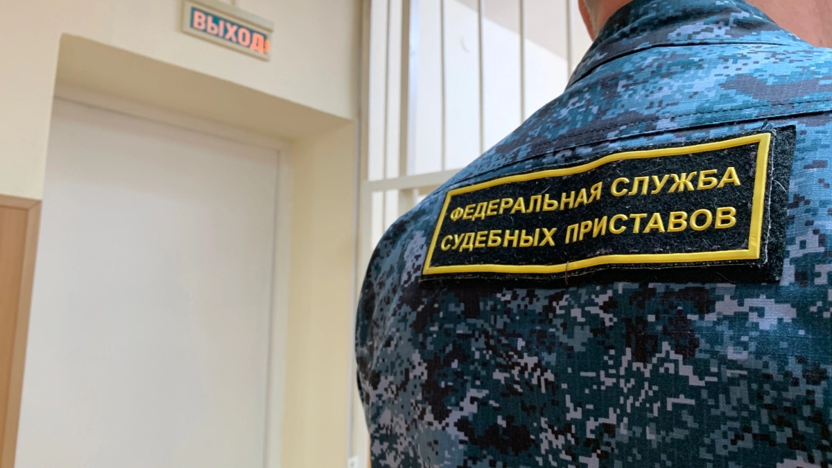 Житель Воронежской области предстанет перед судом за госизмену и шпионаж