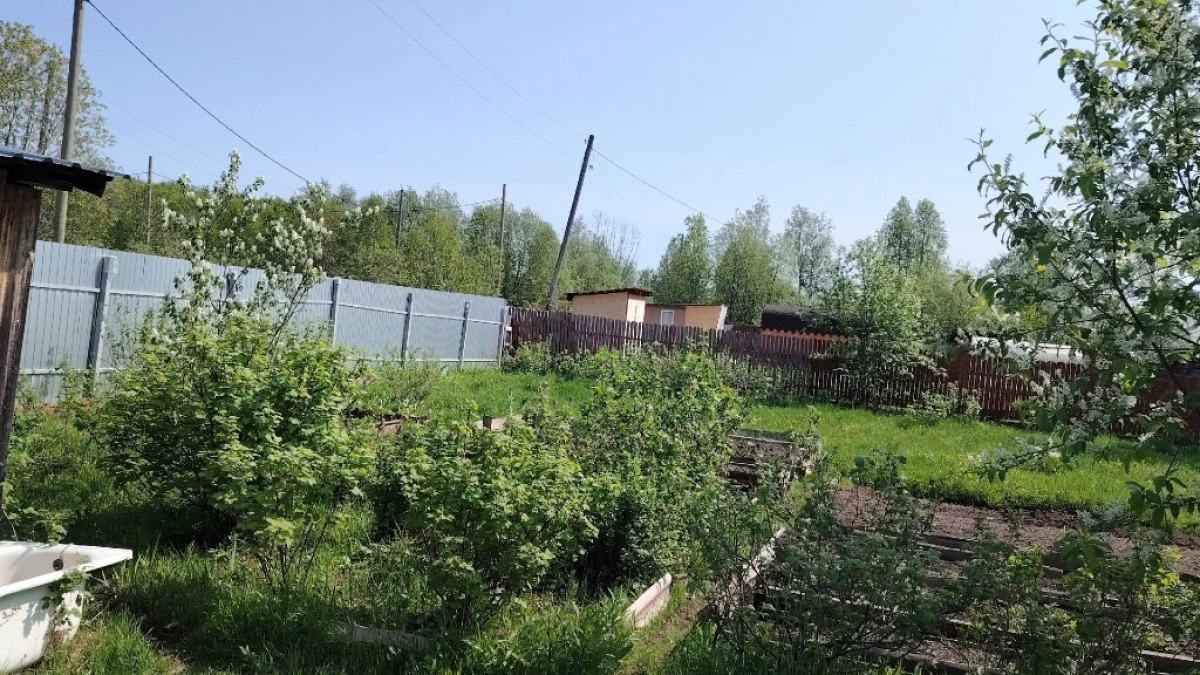 Пропалывала грядки до боли в спине, пока соседка не шепнула про одну хитрость: 1 стакан в ведро и поливаю вечером — утром ни одного сорняка