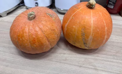 Знаменитая на весь мир кулинар Марта Стюарт назвала продукт, без которого тыквенный суп лучше не готовить: лучший совет для осенней еды
