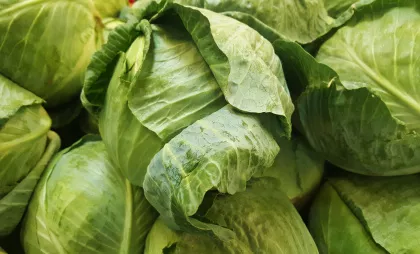 Капуста по-китайски. Никогда не ела вкуснее, всё лето готовлю по этому рецепту и по-другому теперь не хочется