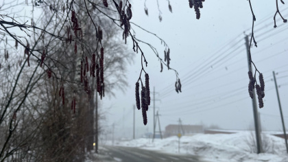 В Воронежской области 17 марта ожидаются дождь, мокрый снег и гололед