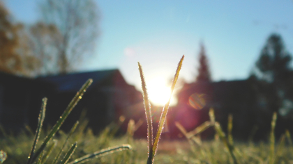 В Воронежской области 20 апреля ожидаются ночные заморозки до -1 градуса и дожди