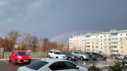 В Воронежской области 28 апреля ожидается штормовой ветер с порывами до 20 метров в секунду и ночные заморозки